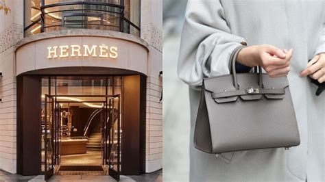 hermes birkin class action|tina cavalleri Hermes lawsuit.